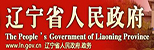 辽宁政府网