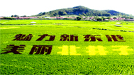 <div class='new_lzbiao'>北井子“稻画船说”风景区</div>