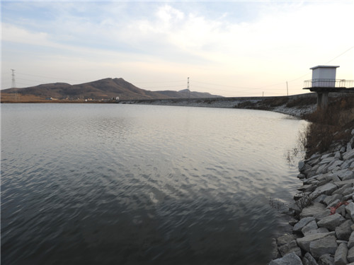 DSC_9403.jpg