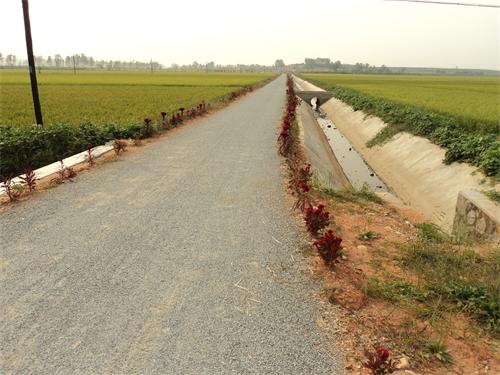 DSC01622_看图王.jpg